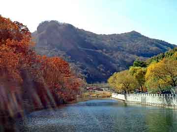 正版澳门天天开彩大全，茅山术炼成小鬼